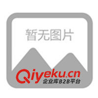 塑料打火機(jī)、金屬打火機(jī)、廣告打火機(jī)、磨砂打火機(jī)(圖)